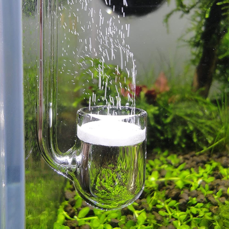 Planted Aquarium Parameters - D0AD Glass CO2 Diffuser for Aquarium,