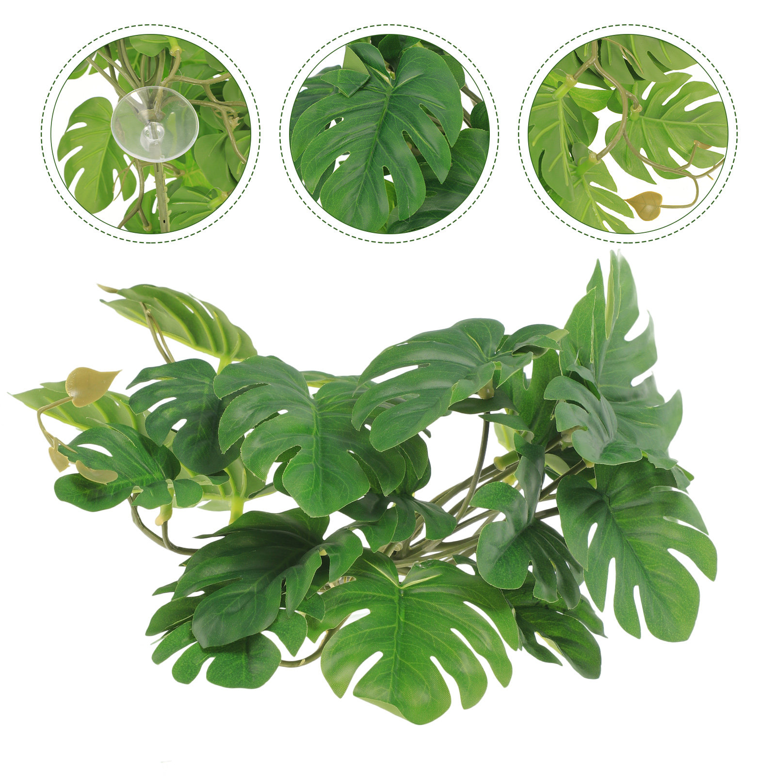Non Planted Aquarium Fish - Safe Non Toxic Reptile Terrarium Plants