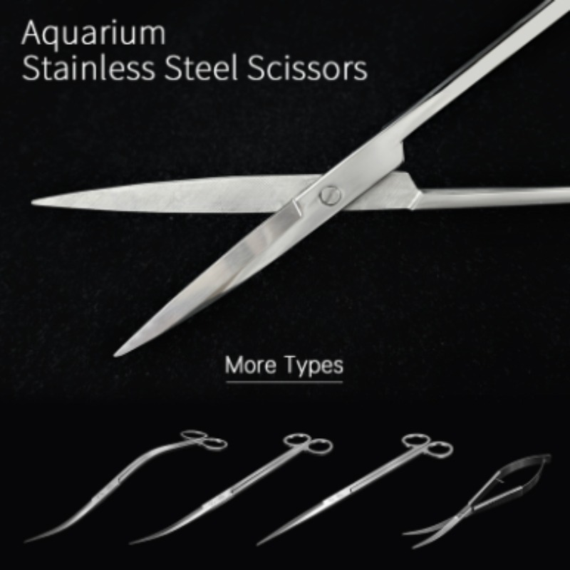 Aquarium Plant Delivery - Week Aqua Stainless Steel Aquatic Plant