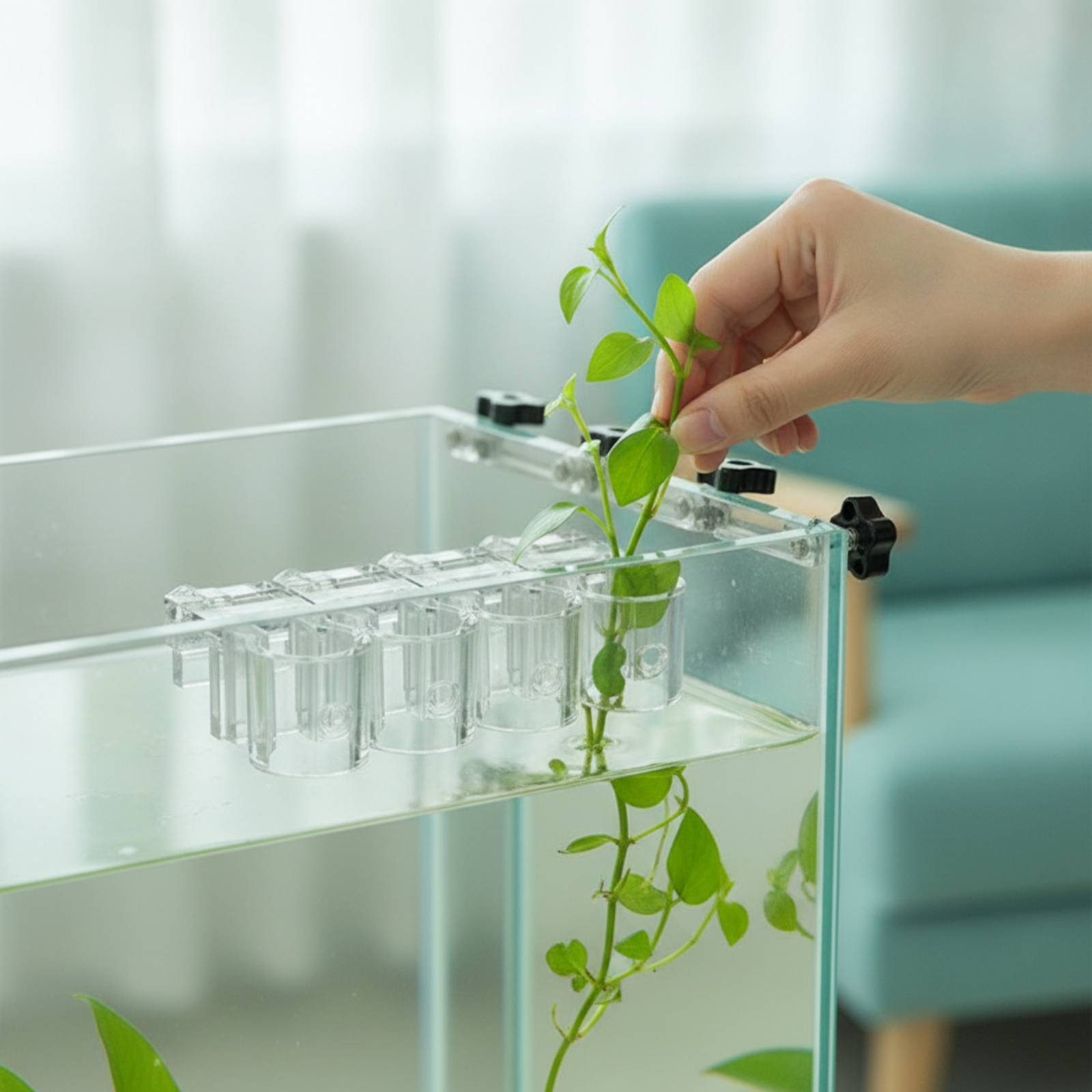 6 Pieces Aquarium Planter Clea - Aquarium Planted Plants 评论和价格