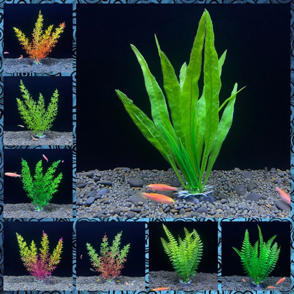 Fish Tank Ornament Plant Aquar - Planted Aquarium Bowl 评论和价格