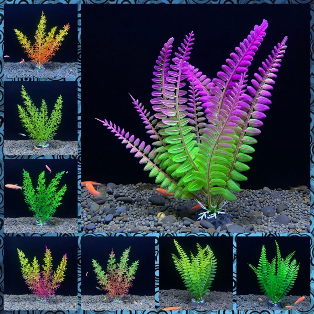 Fish Tank Ornament Plant Aquar - Planted Aquarium Bowl 评论和价格