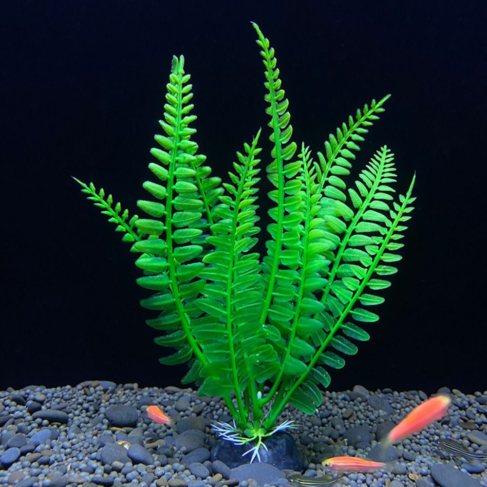 Fish Tank Ornament Plant Aquar - Planted Aquarium Bowl 评论和价格