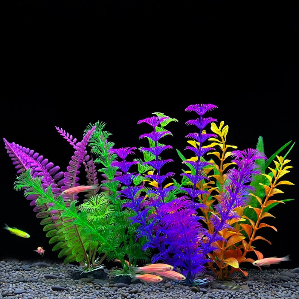 Fish Tank Ornament Plant Aquar - Planted Aquarium Bowl 评论和价格