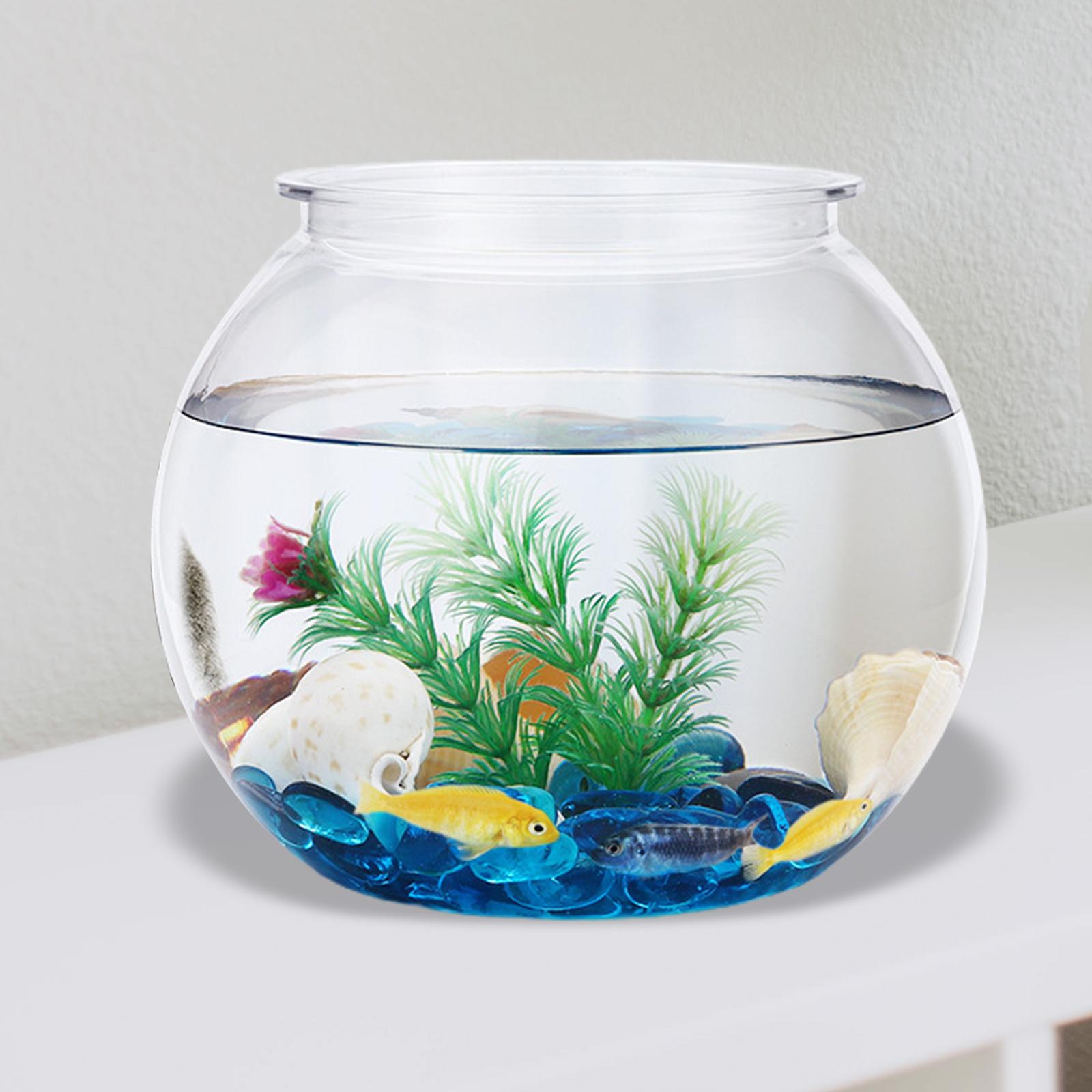 Transparent Small Fish Tank De - Planted Aquarium Bowl 评论和价格