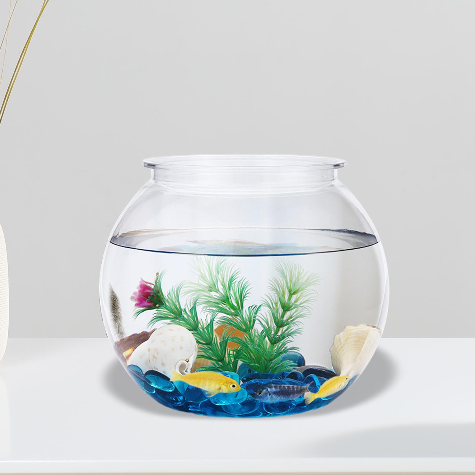 Transparent Small Fish Tank De - Planted Aquarium Bowl 评论和价格