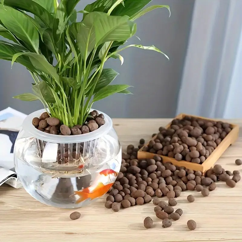 Lightweight & Breathable Terra - Aquarium Planted Plants 评论和价格