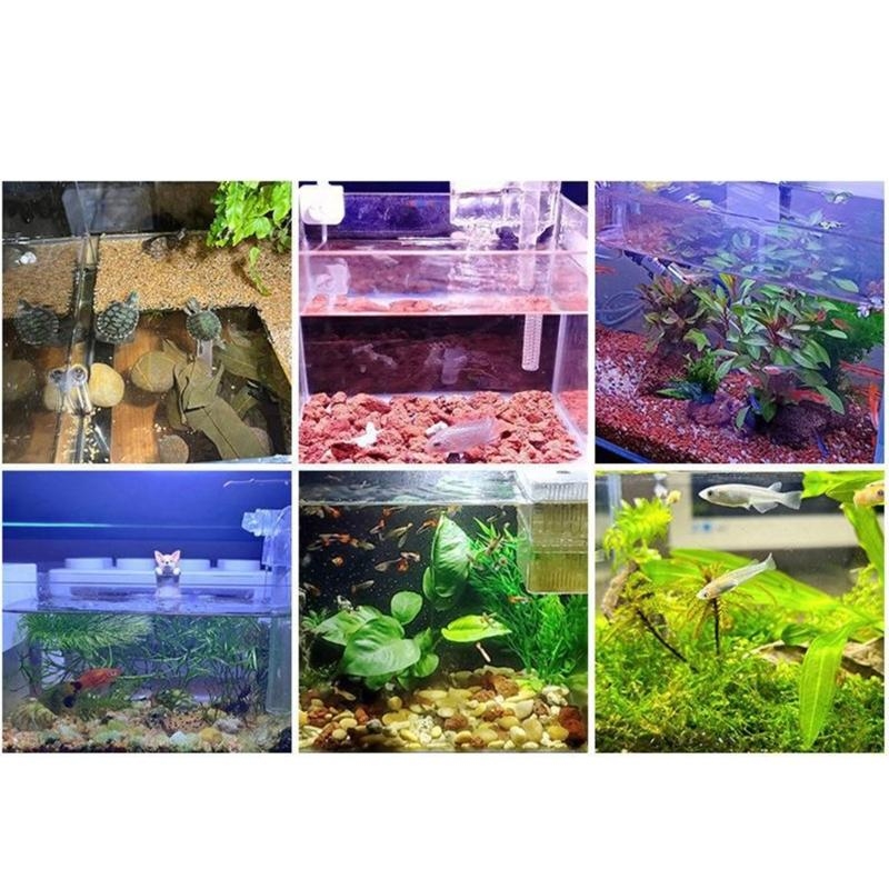 Small Aquarium Fish Bowl LED L - Planted Aquarium Bowl 评论和价格