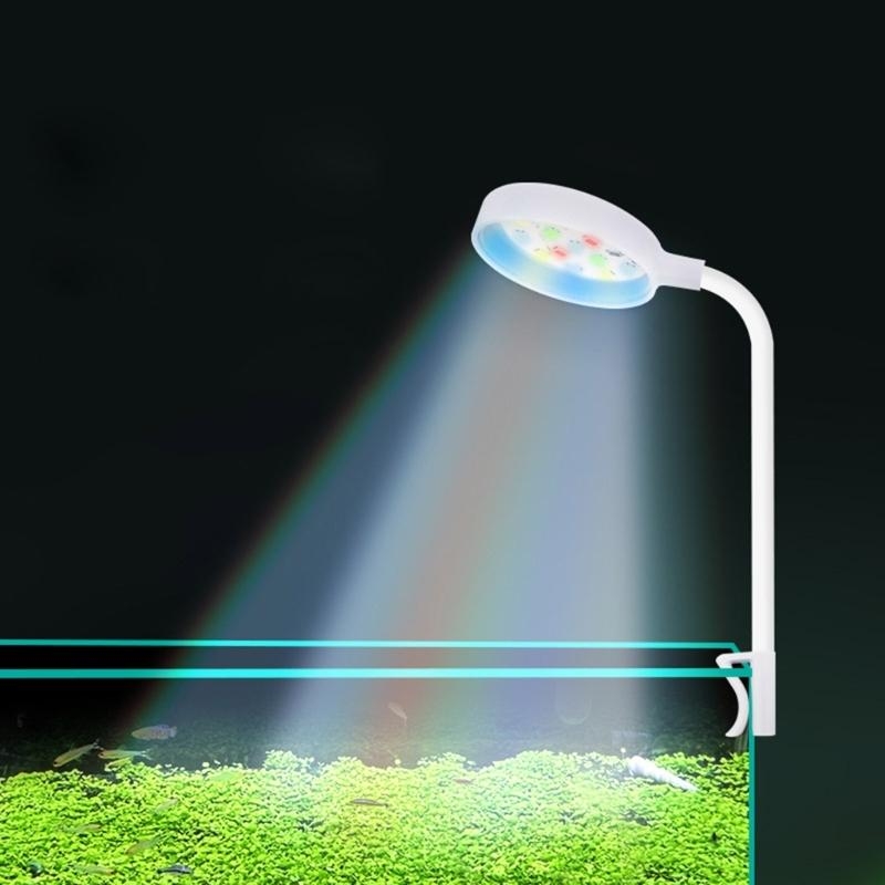 Small Aquarium Fish Bowl LED L - Planted Aquarium Bowl 评论和价格