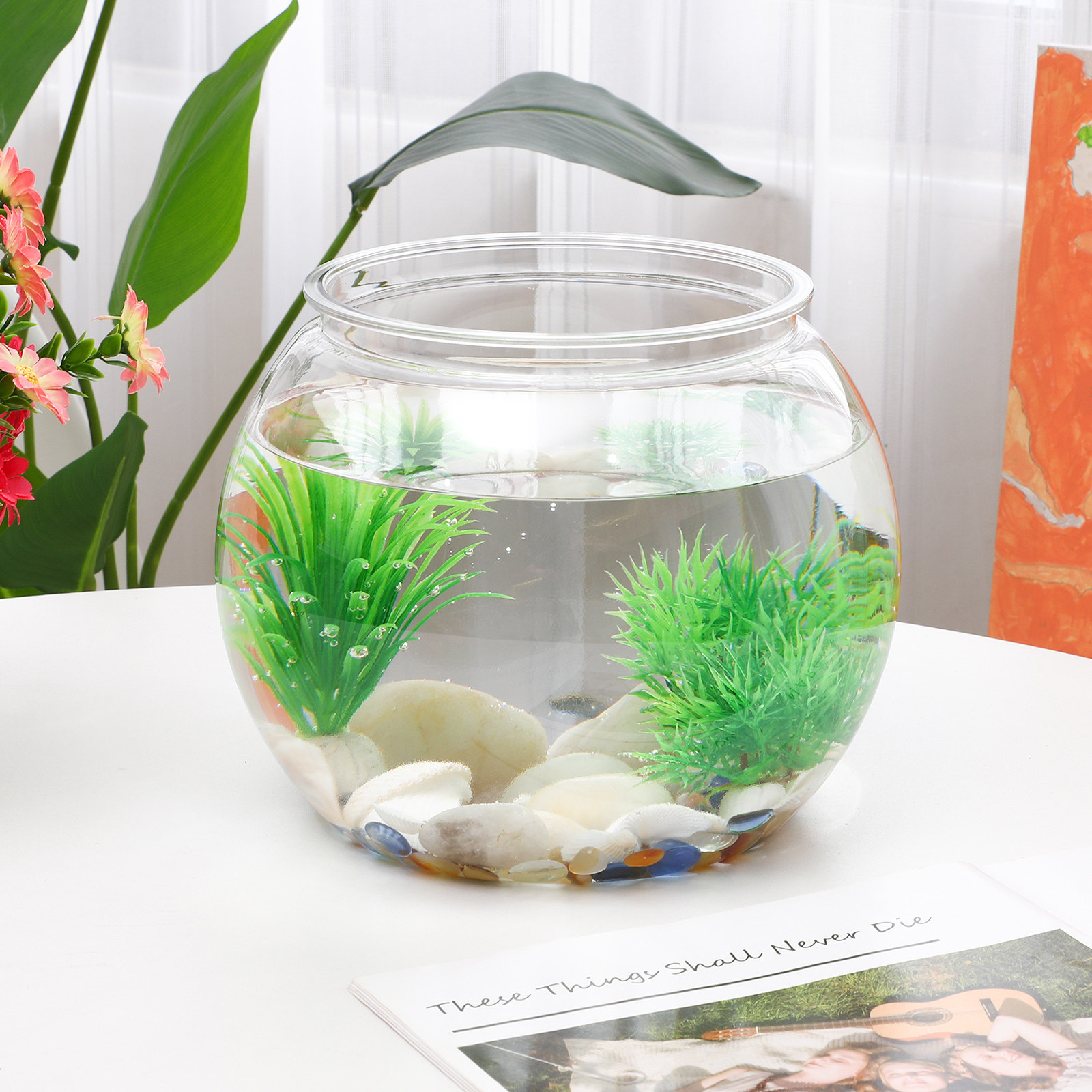 Anti-Falling Plastic Fish Bowl - Planted Aquarium Bowl 评论和价格