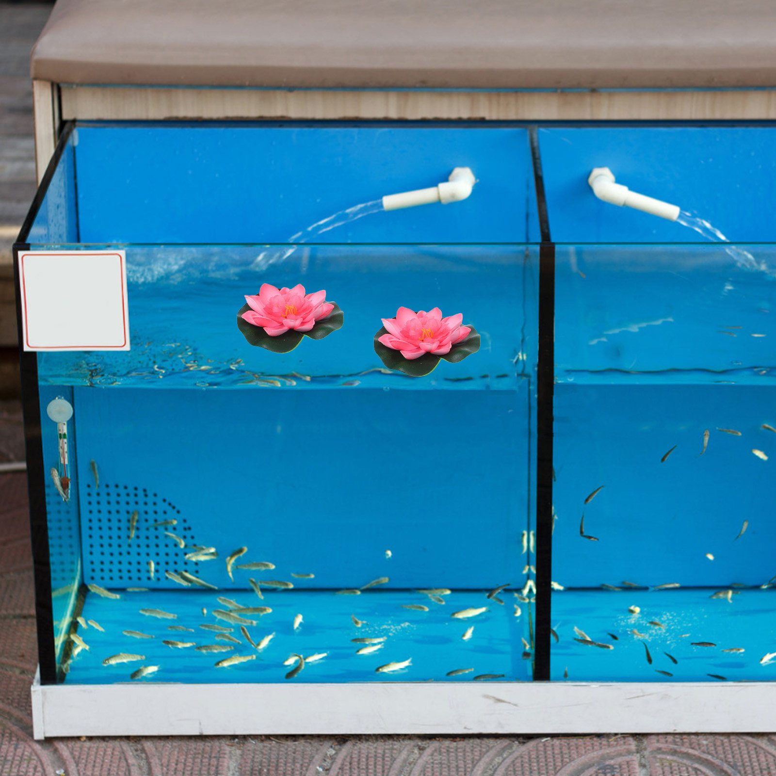 12Pcs Artificial Floating Wate - Aquarium Planted Plants 评论和价格