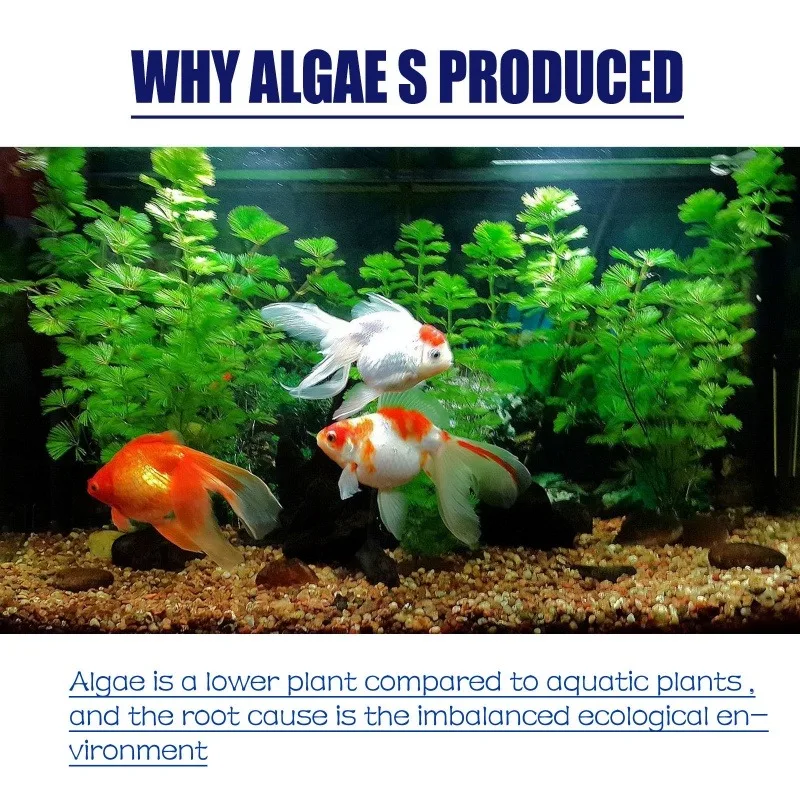50g High Efficiency Algaecide  - Planted Aquarium Parameters 评论和价格