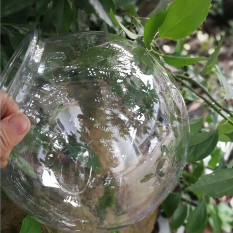 Goldfish bowl desktop transpar - Planted Aquarium Bowl 评论和价格