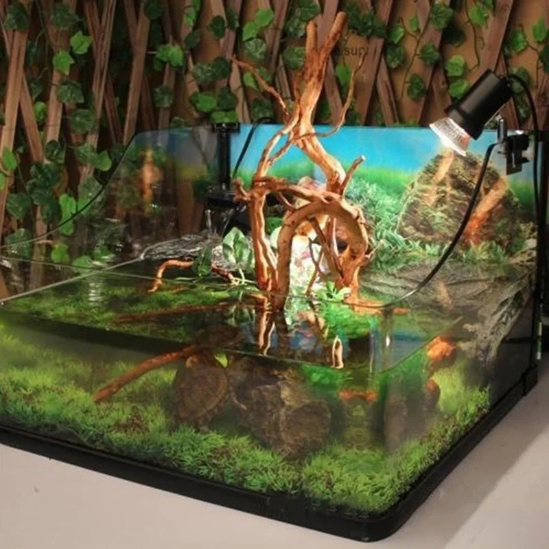 Natural Tree Trunk Driftwood A - Aquarium Plant Growing 评论和价格
