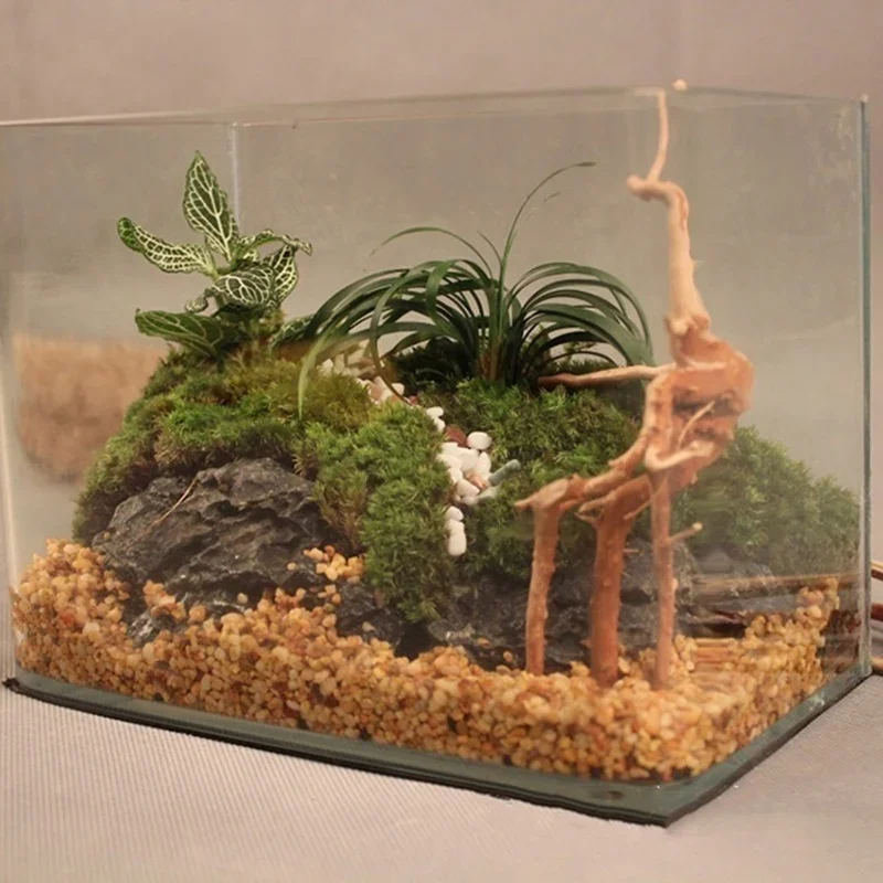 Natural Tree Trunk Driftwood A - Aquarium Plant Growing 评论和价格