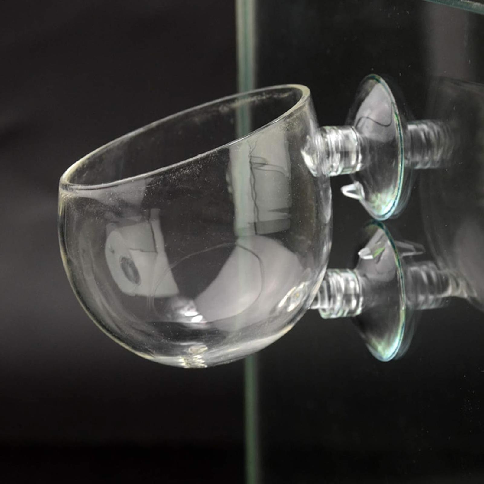 Aquarium Plant Holder Glass Aq - Aquarium Plant Growing 评论和价格