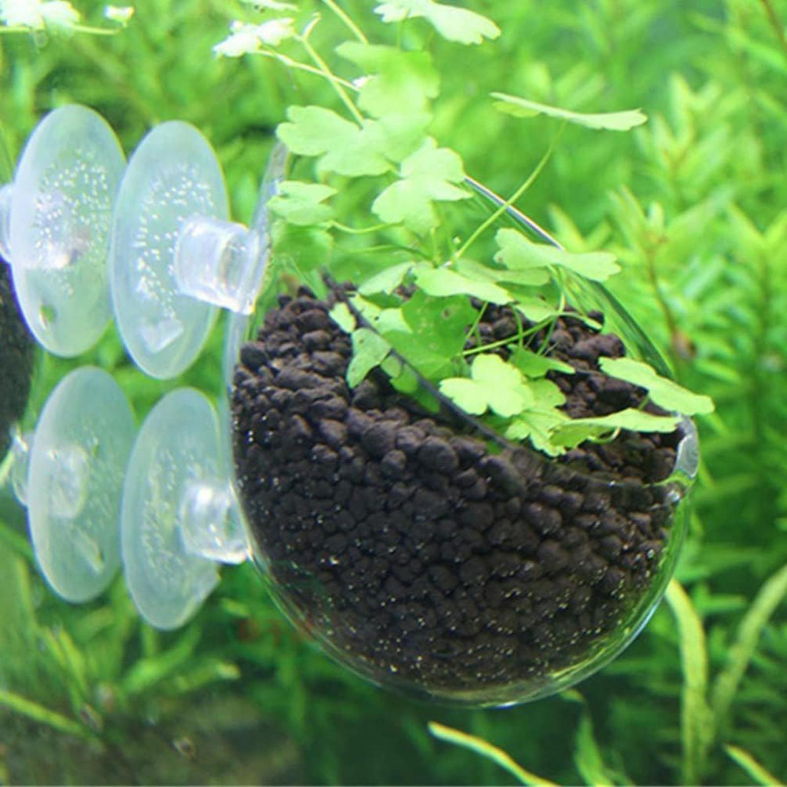 Aquarium Plant Holder Glass Aq - Aquarium Plant Growing 评论和价格
