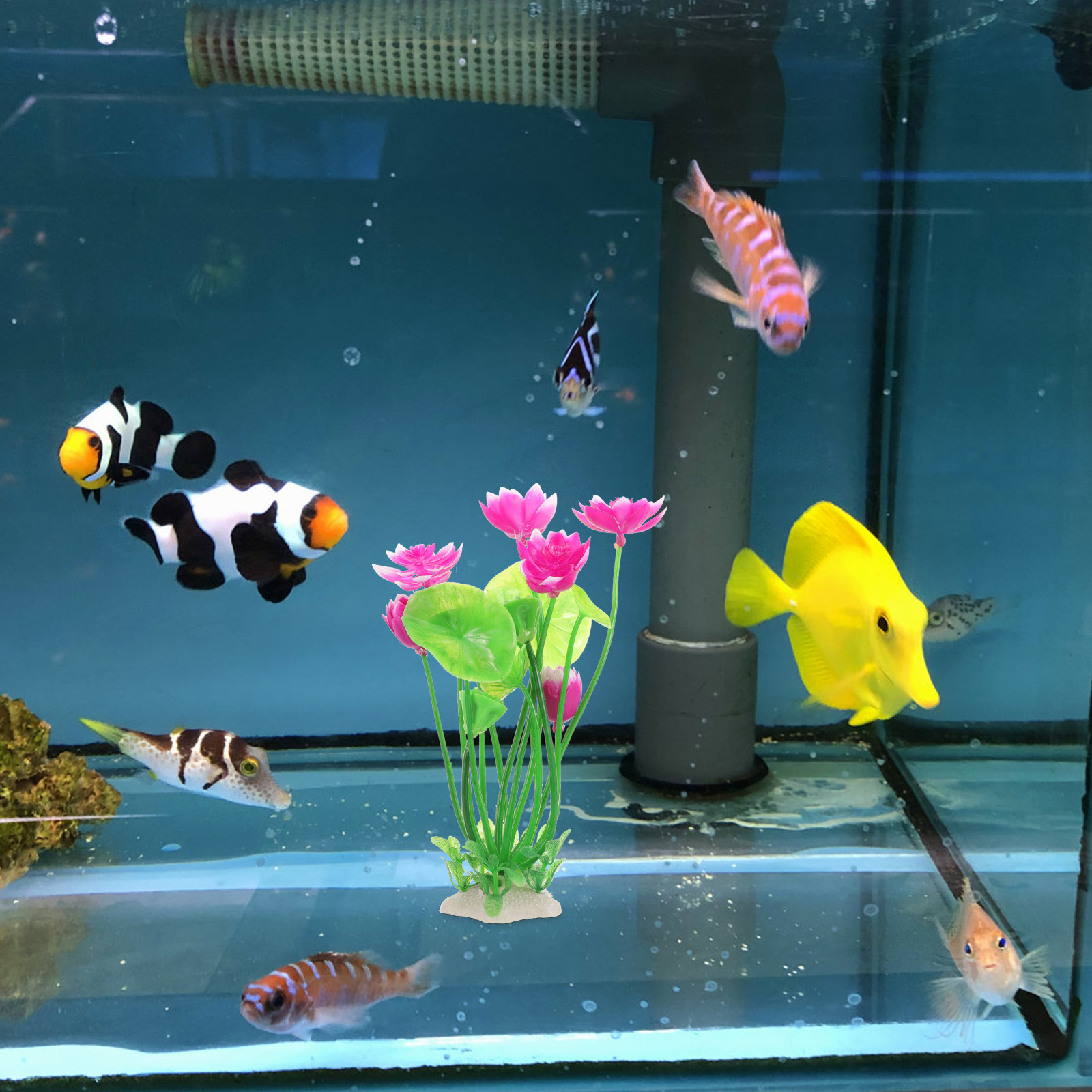 Fish Tank Lotus Flower Decor A - Non Planted Aquarium Fish 评论和价格