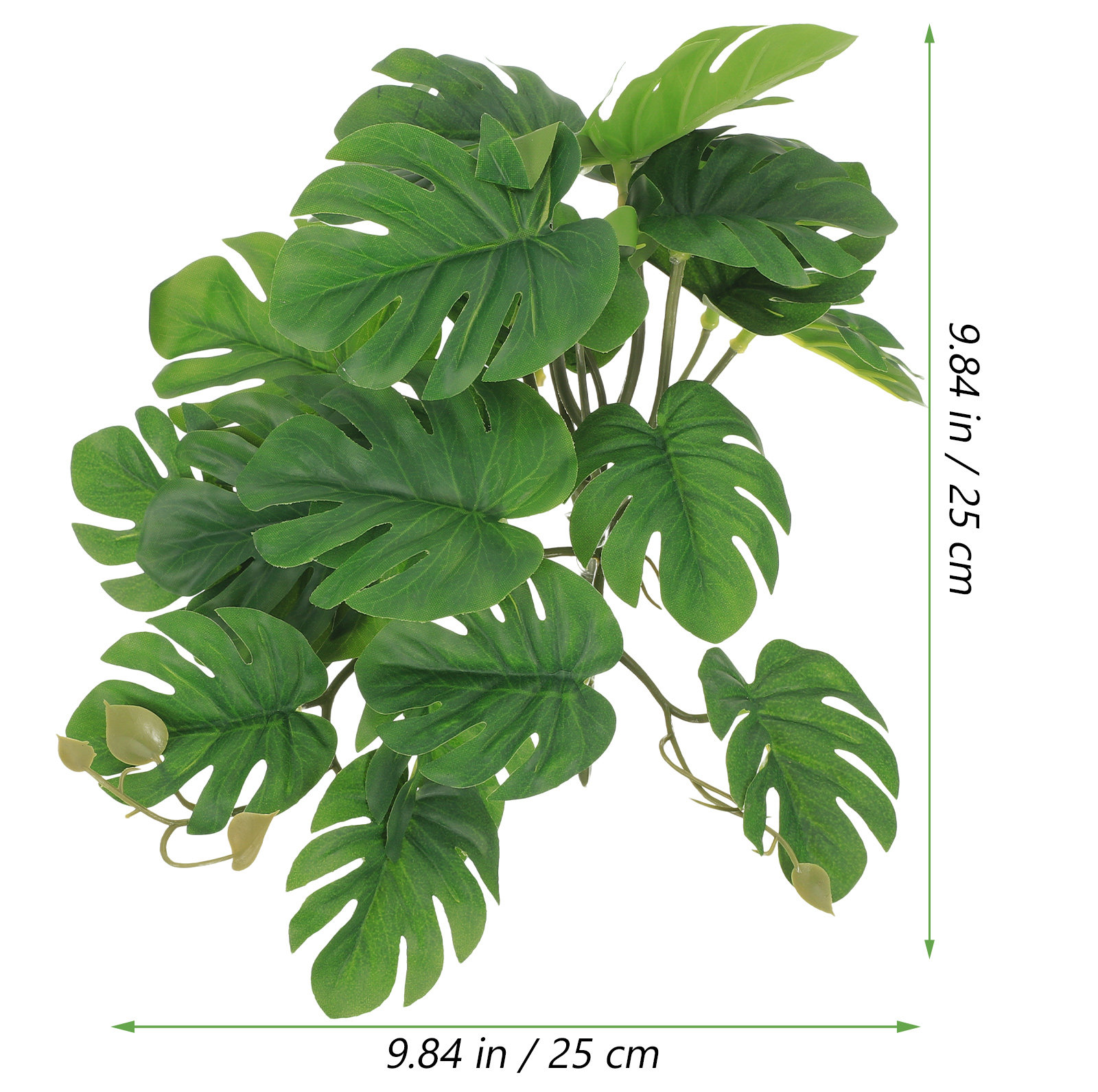Safe Non Toxic Reptile Plants  - Non Planted Aquarium Fish 评论和价格