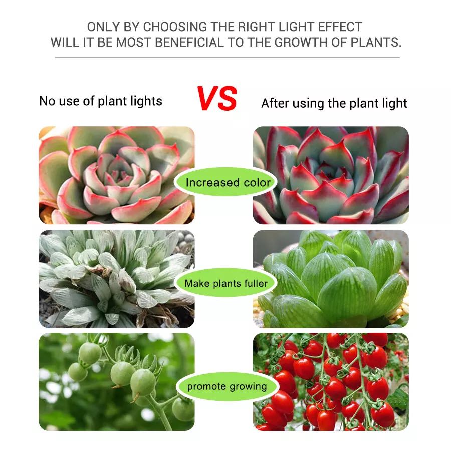 LED5V Light Bar Flower Aquariu - Planted Aquarium Hours 评论和价格