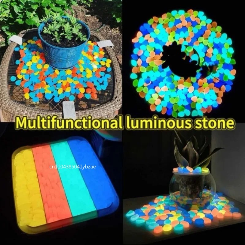 100-800pcs Glow in The Dark Pe - Aquarium Planted Plants 评论和价格