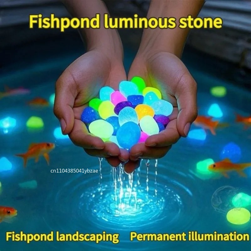100-800pcs Glow in The Dark Pe - Aquarium Planted Plants 评论和价格