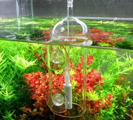 VIV Do Device Aquarium Cylinde - Planted Aquarium Parameters 评论和价格