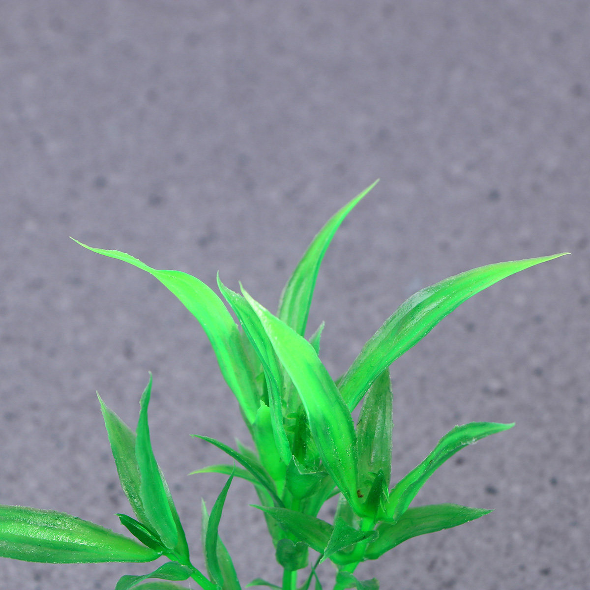 10Pcs Realistic Aquarium Plant - Non Planted Aquarium Fish 评论和价格