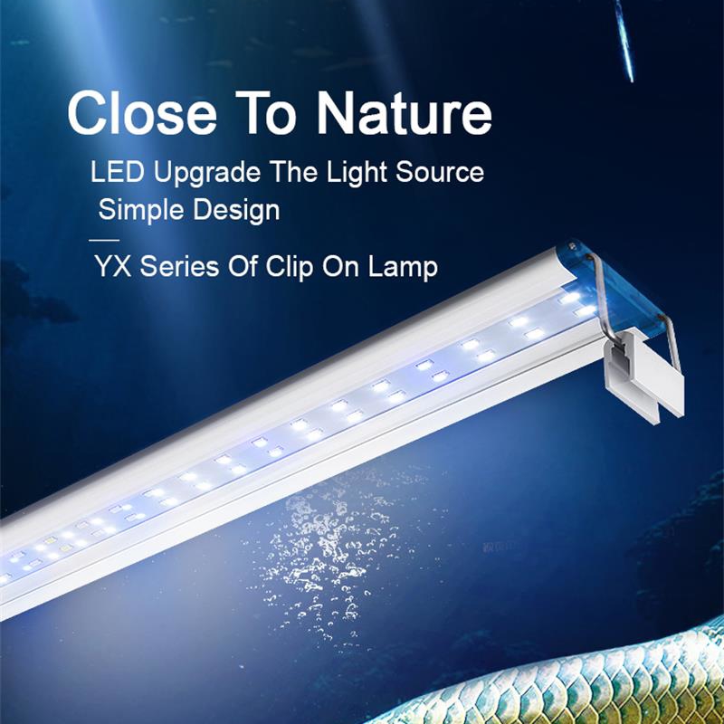 Extensible Waterproof Clip on  - Aquarium Plant Delivery 评论和价格