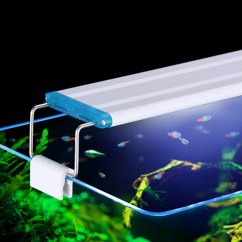 Extensible Waterproof Clip on  - Aquarium Plant Delivery 评论和价格