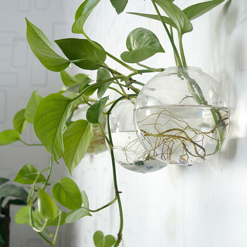 Wall Hanging Acrylic Fish Bowl - Planted Aquarium Bowl 评论和价格