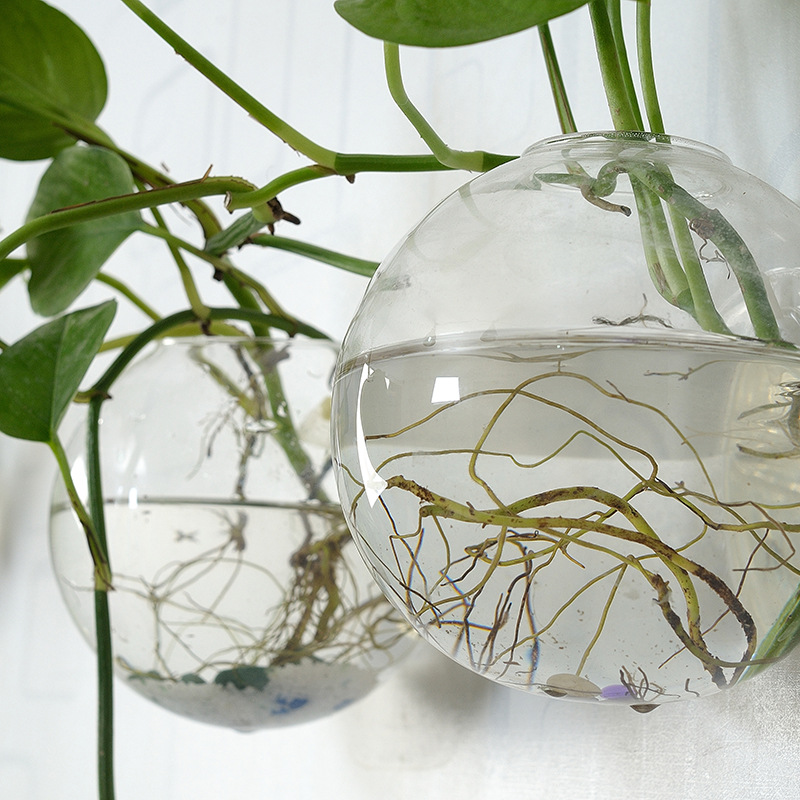 Wall Hanging Acrylic Fish Bowl - Planted Aquarium Bowl 评论和价格