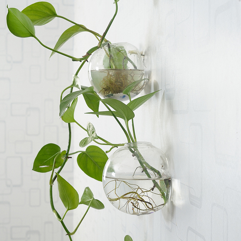 Wall Hanging Acrylic Fish Bowl - Planted Aquarium Bowl 评论和价格