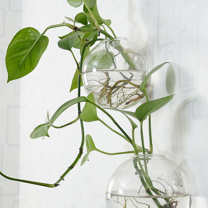 Wall Hanging Acrylic Fish Bowl - Planted Aquarium Bowl 评论和价格