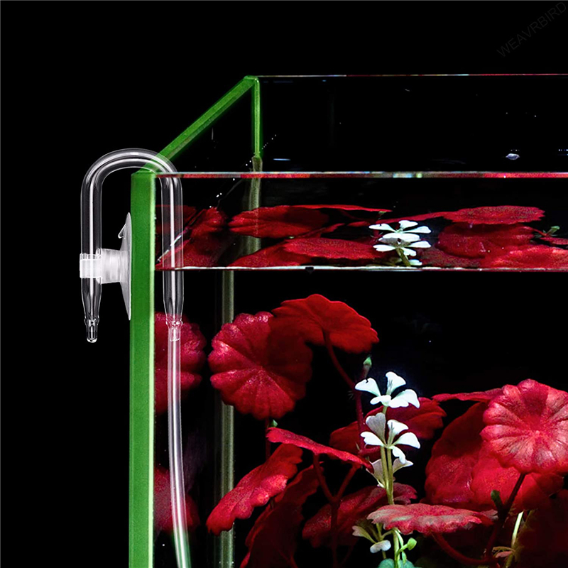 Aquarium U Shaped Air Pipe Con - Aquarium Lily Pipe 评论和价格