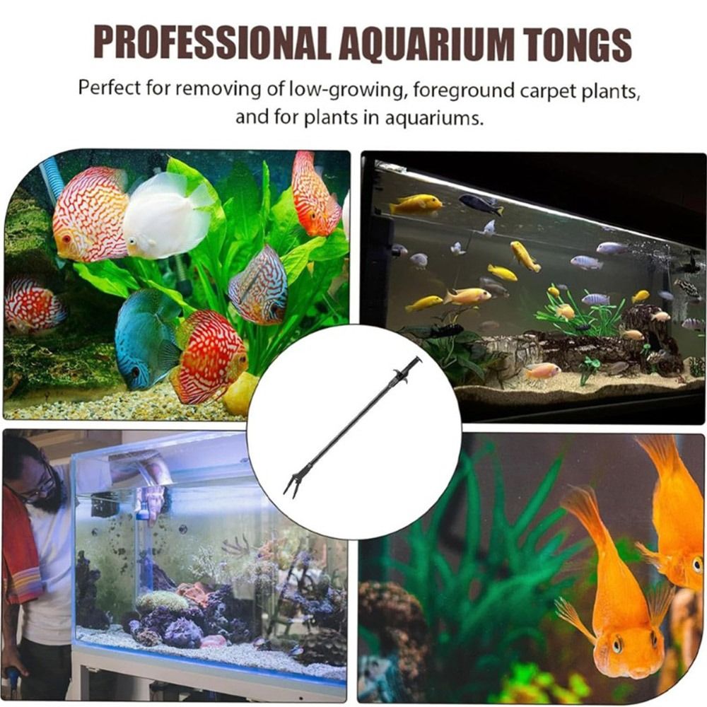 1Pcs 50cm Aquarium Plastic Twe - Non Planted Aquarium Fish 评论和价格