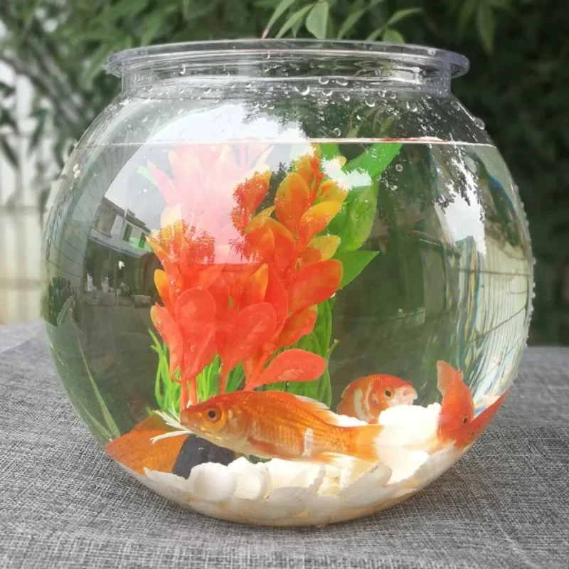 Goldfish bowl desktop transpar - Planted Aquarium Bowl 评论和价格