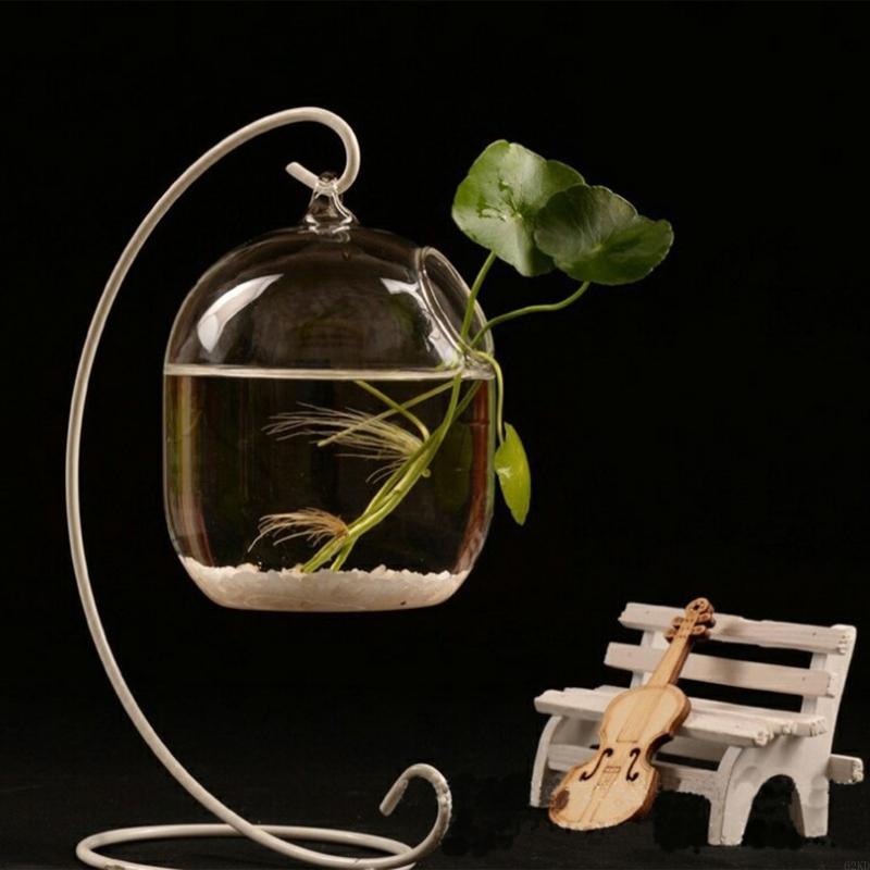 62KD Suspended Transparent Han - Planted Aquarium Bowl 评论和价格