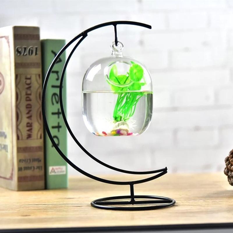 62KD Suspended Transparent Han - Planted Aquarium Bowl 评论和价格