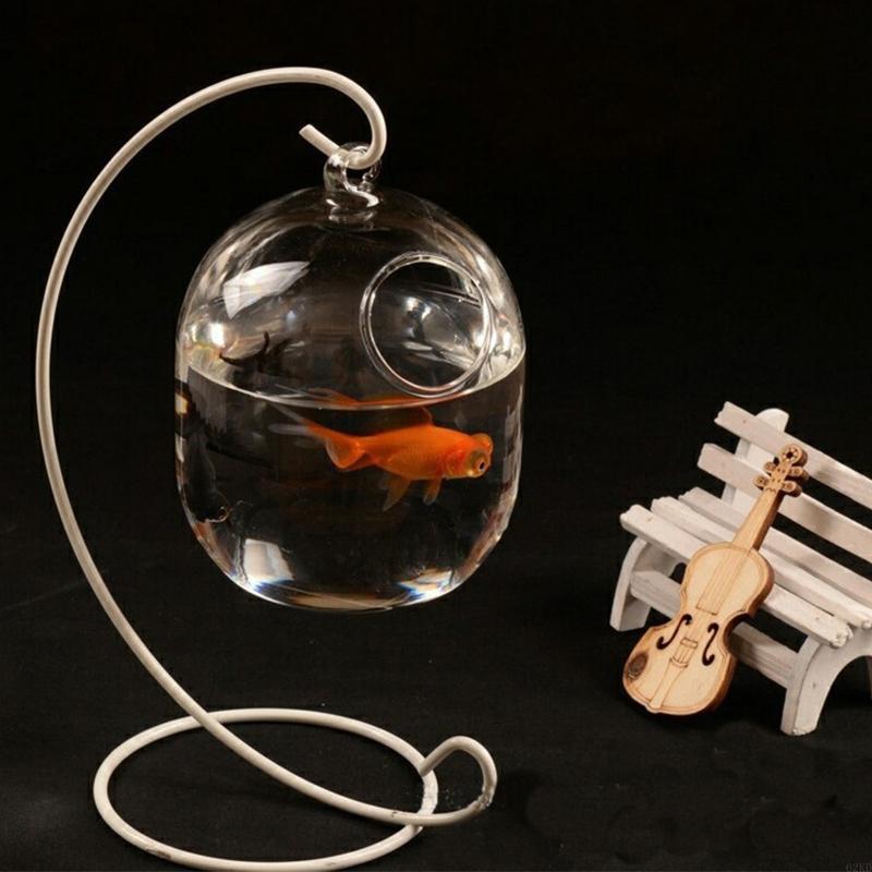 62KD Suspended Transparent Han - Planted Aquarium Bowl 评论和价格