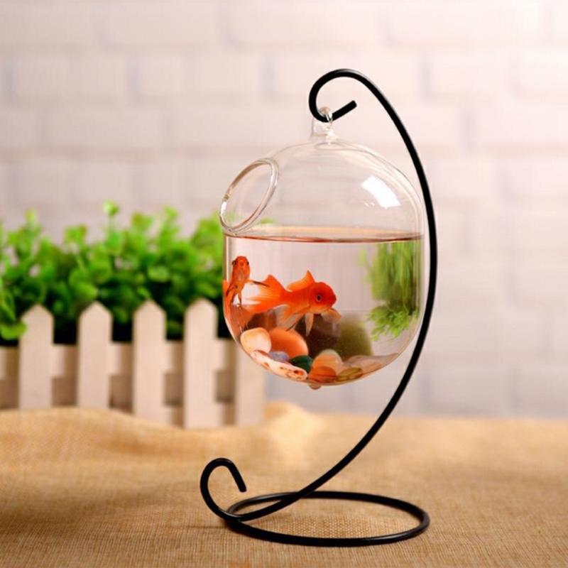 62KD Suspended Transparent Han - Planted Aquarium Bowl 评论和价格