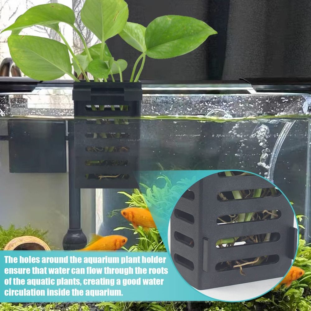 Water Plant Landscape Aquarium - Emersed Plants Aquarium 评论和价格