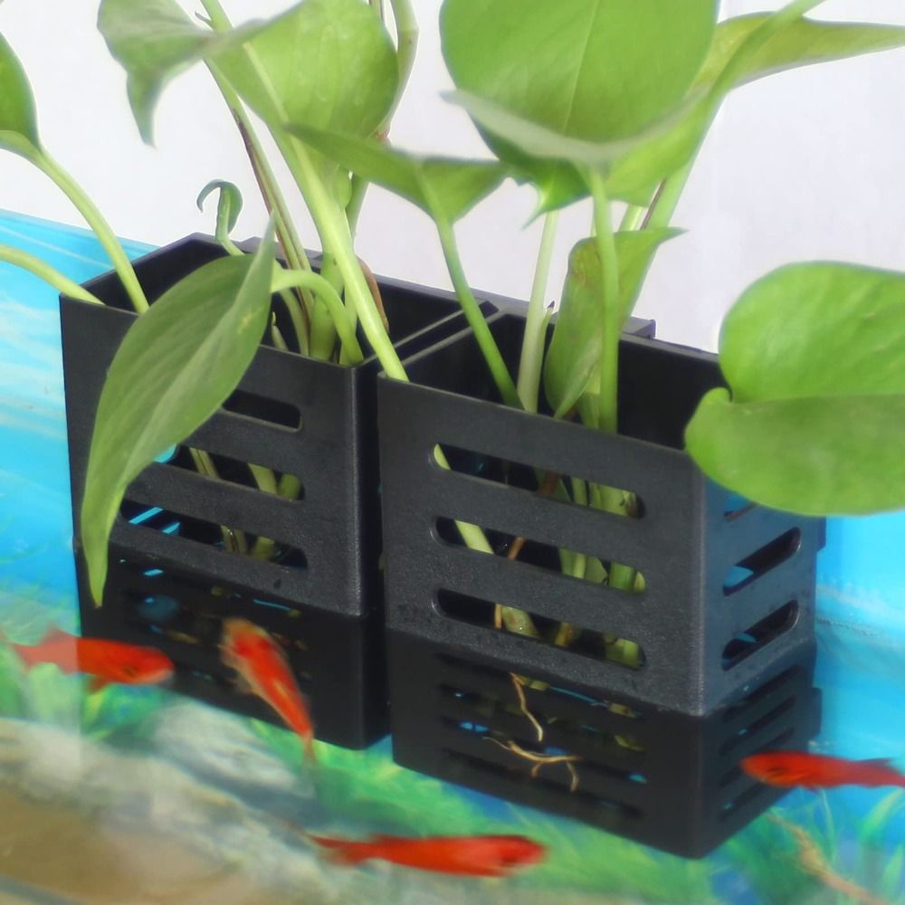 Hydroponic Aquarium Glass Plan - Emersed Plants Aquarium 评论和价格