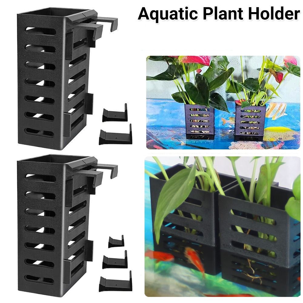 Hydroponic Aquarium Glass Plan - Emersed Plants Aquarium 评论和价格