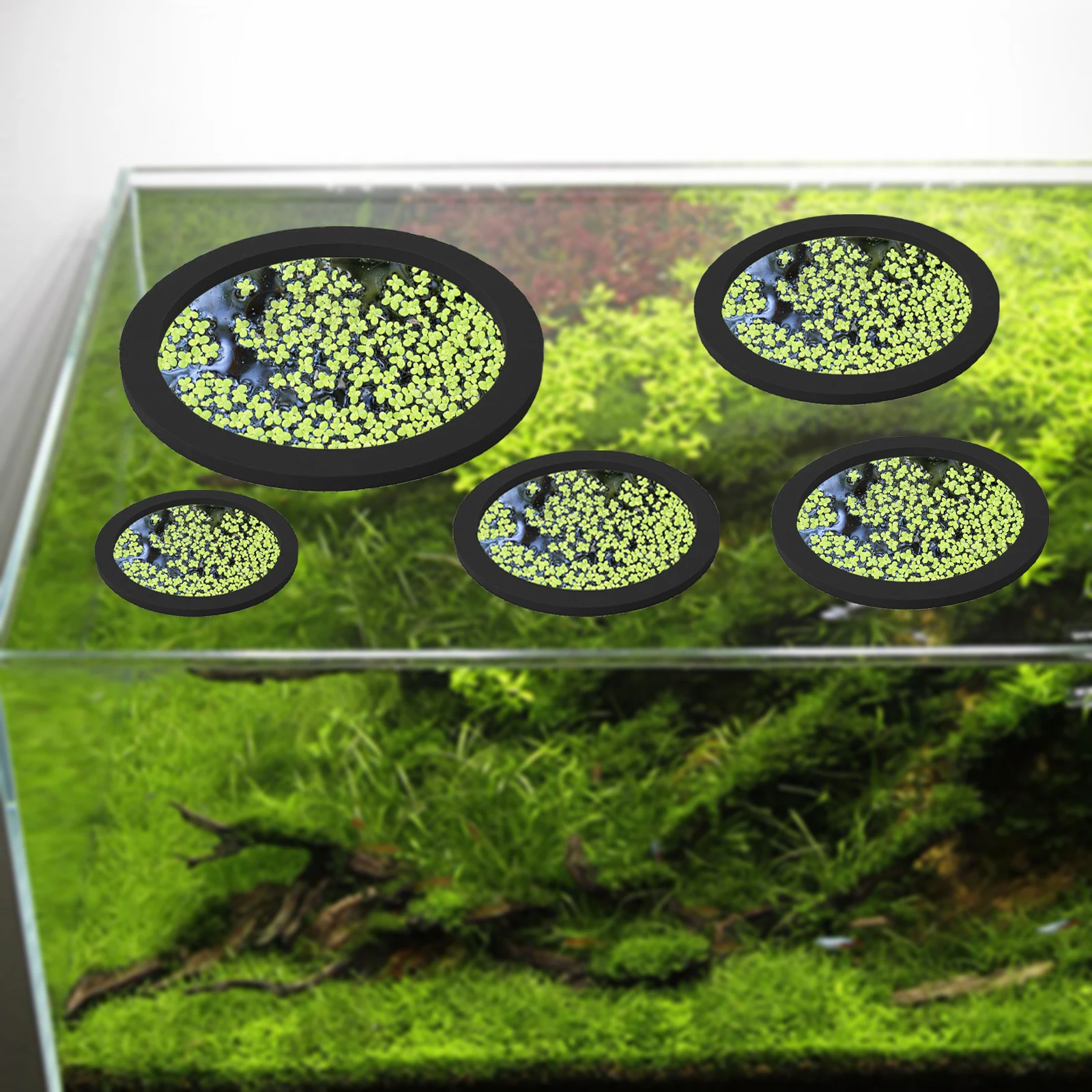 5Pcs EVA Fish Feeding Ring Aqu - Aquarium Planted Plants 评论和价格