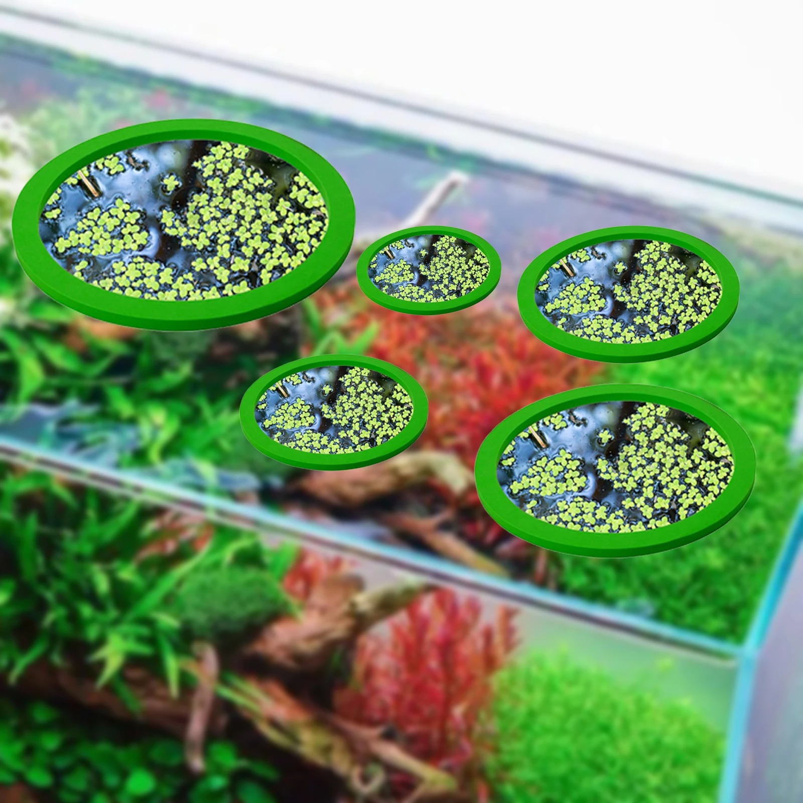 5Pcs EVA Fish Feeding Ring Aqu - Aquarium Planted Plants 评论和价格