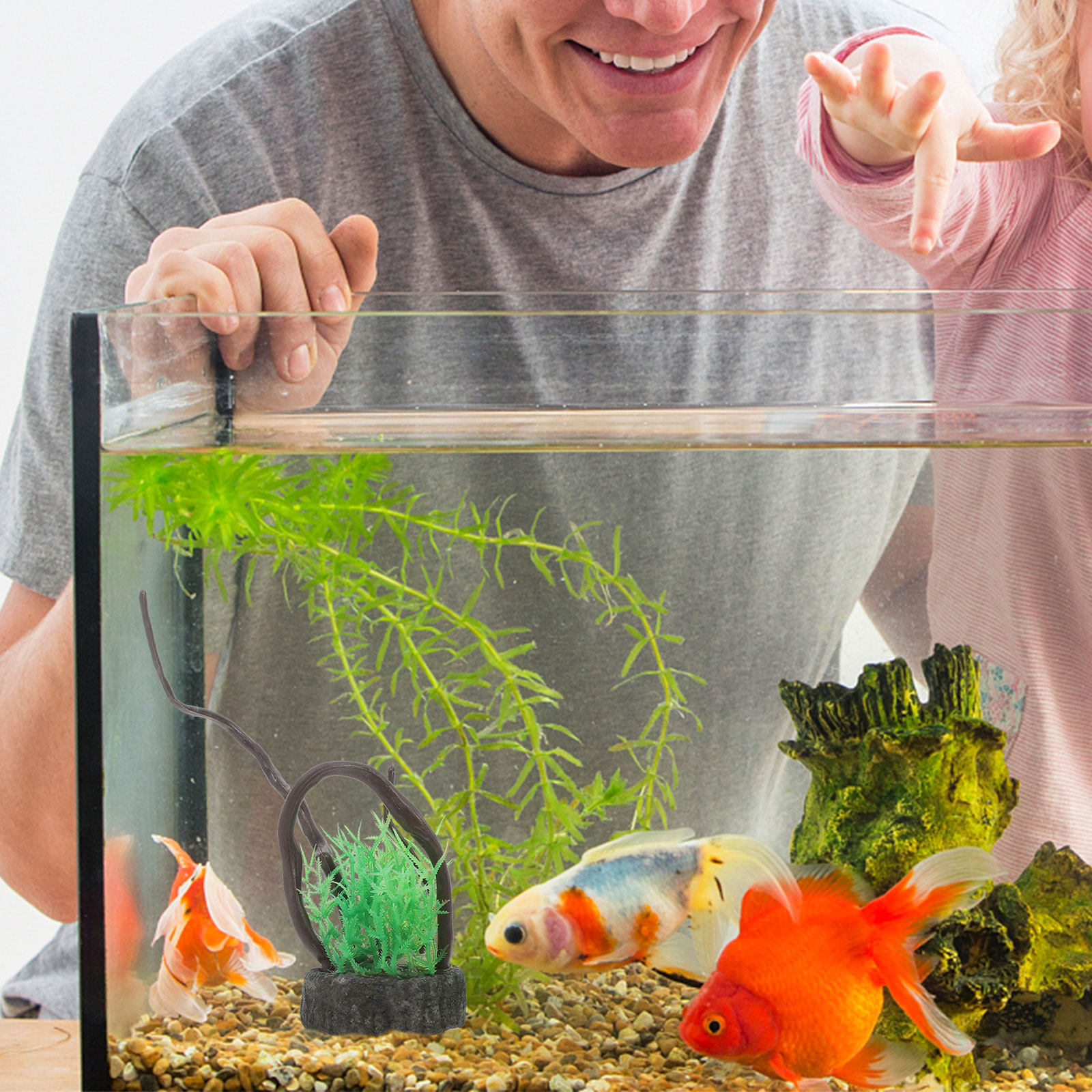 Realistic Artificial Aquarium  - Non Planted Aquarium Fish 评论和价格
