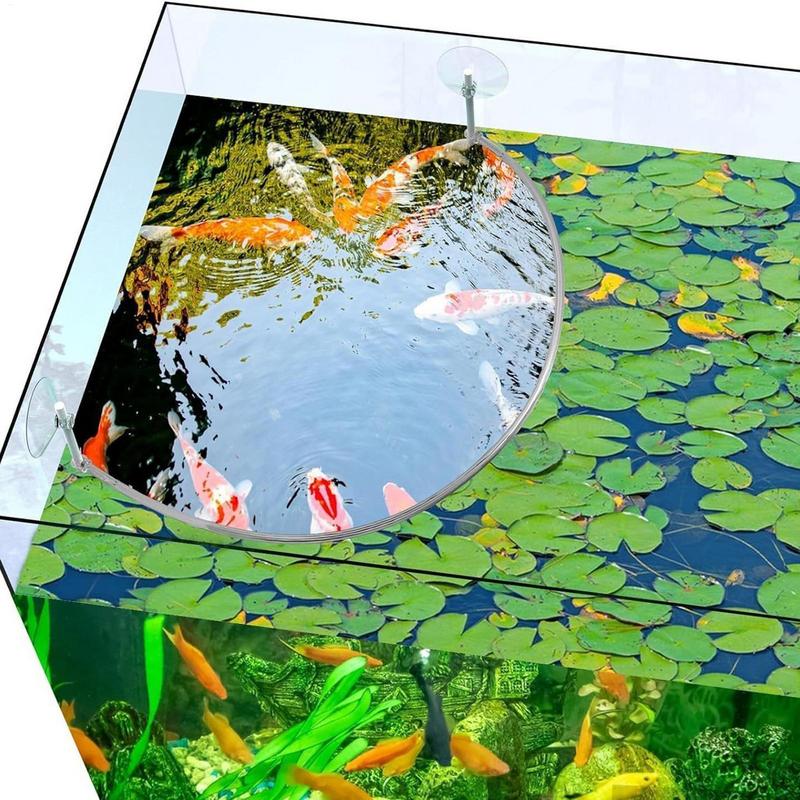 Floating Plant Corral Fish Fee - Aquarium Plant Delivery 评论和价格