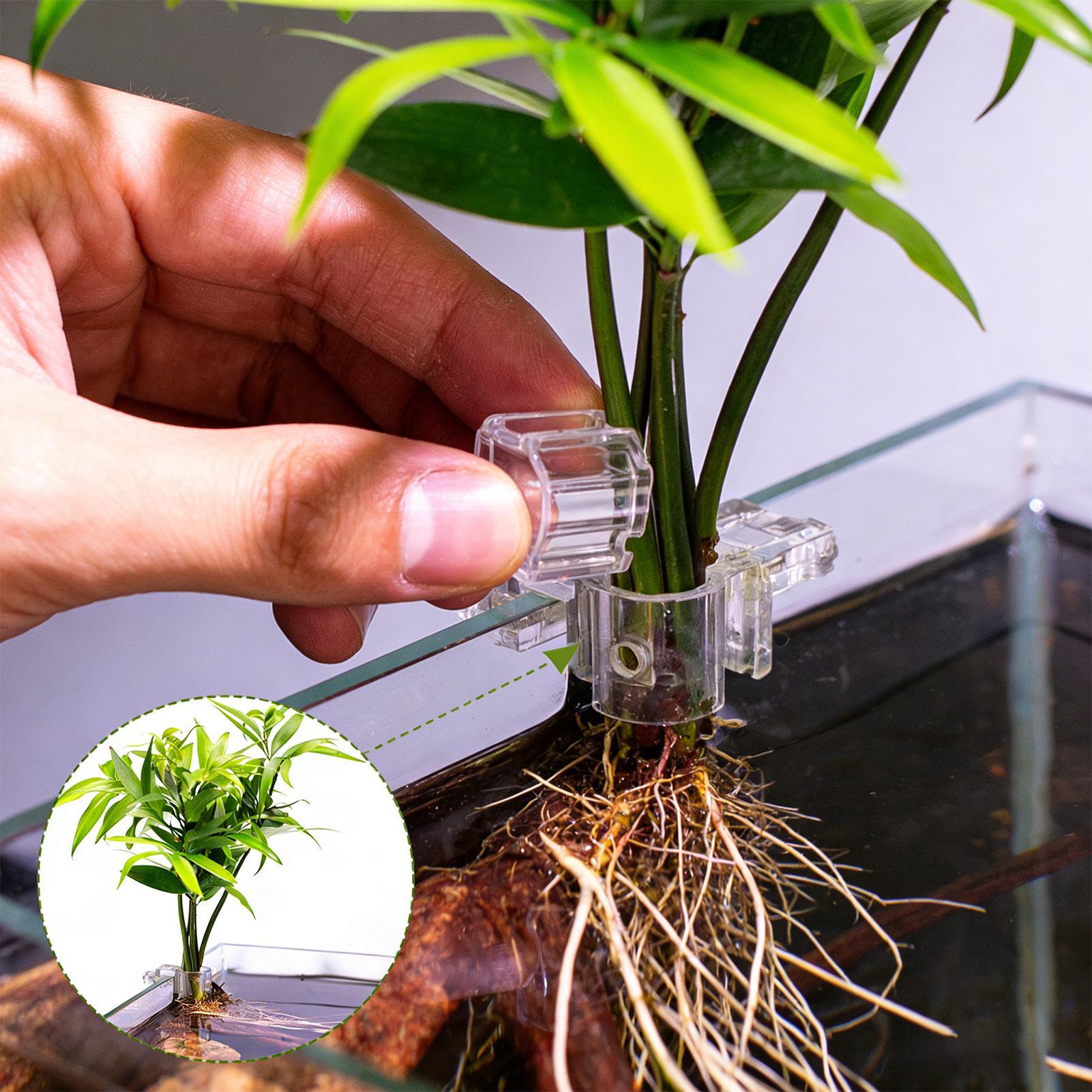 6pcs Aquarium Plant Holders Cl - Aquarium Plant Growing 评论和价格