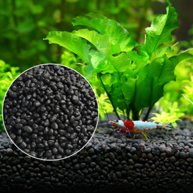 Aquarium Plant Seeds Soil Fish - Planted Aquarium Parameters 评论和价格